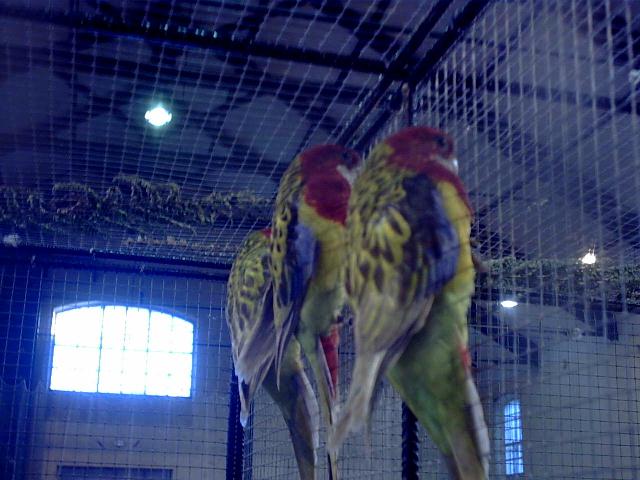 bourse de Carcassonne (4).jpg