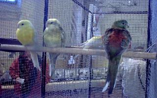 bourse de Carcassonne (5).jpg