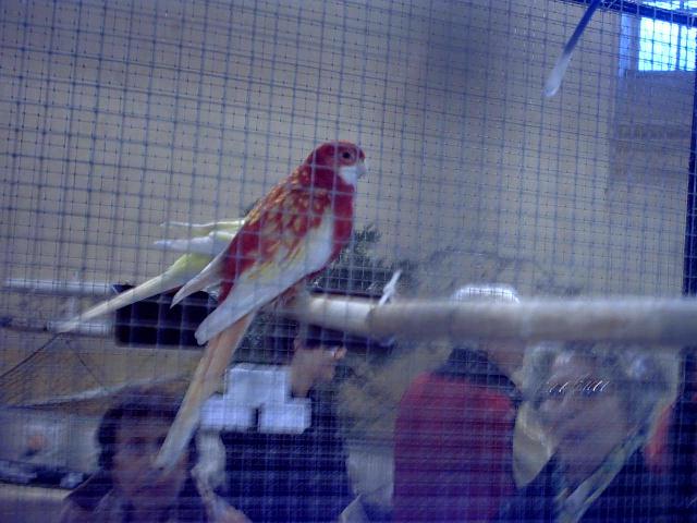 bourse de Carcassonne (6).jpg