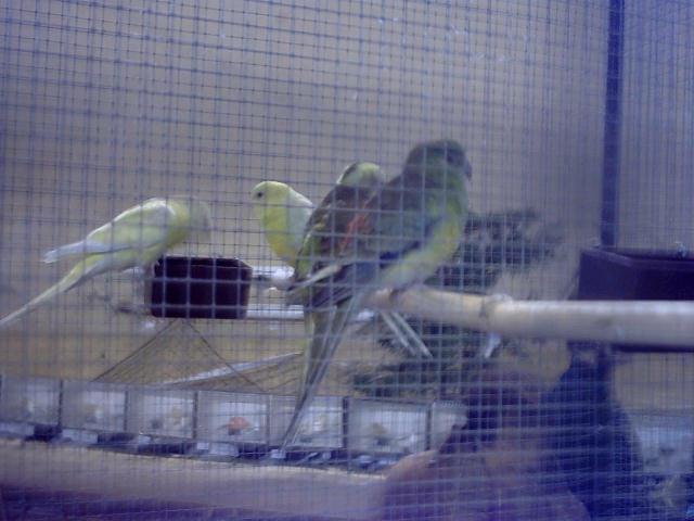 bourse de Carcassonne (7).jpg