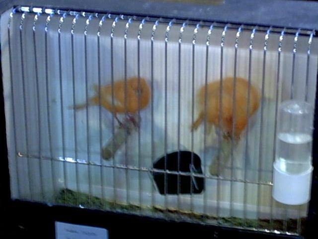 bourse de Carcassonne (8).jpg