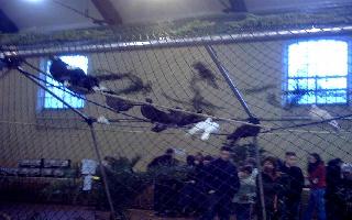 bourse de Carcassonne (13).jpg