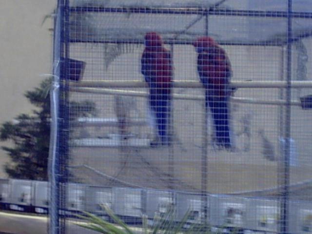 bourse de Carcassonne (9).jpg