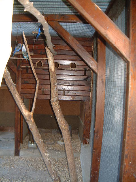 voliÃ¨re dÃ©tails sempt. 2004 double 038.jpg