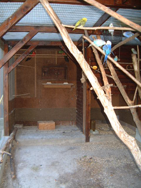 voliÃ¨re dÃ©tails sempt. 2004 double 036.jpg