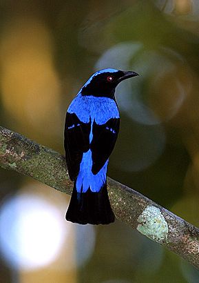 Coucou c'est moi !.jpg