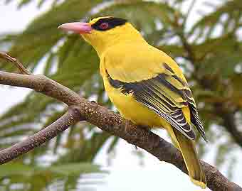 hahaaaaaaaaaaaaaa !.jpg