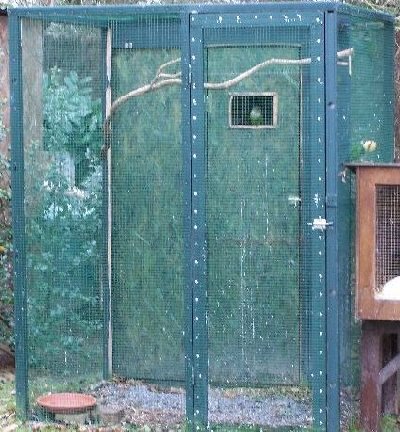 VoliÃ¨re Rupicola.jpg