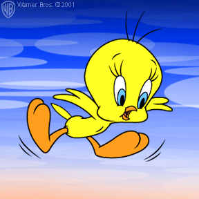 tweety3.gif