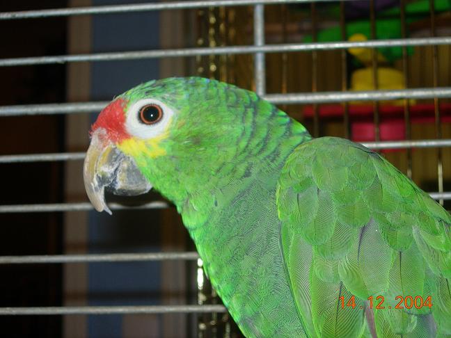 marvalx 003 redi.JPG