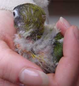 BB ins perso 190105.jpg