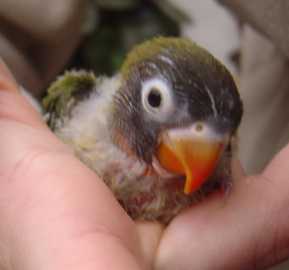 bb insÃ©parabl 190105.jpg