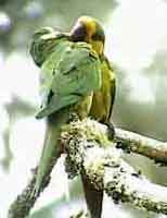 Non bande de ptits malins.jpg