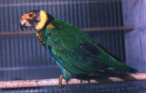 Non bande de ptits malins.jpg