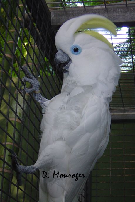 Loro Parque 1.jpg