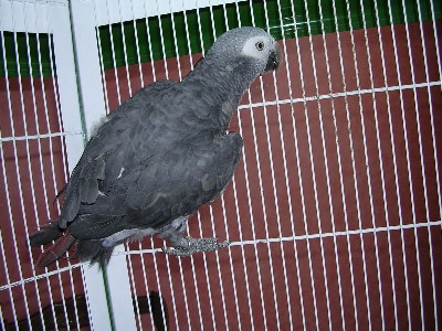 annive(rsaire 049.jpg