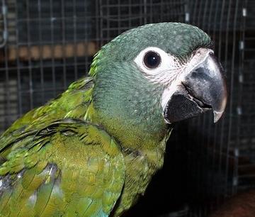 et pis quoi encore.jpg