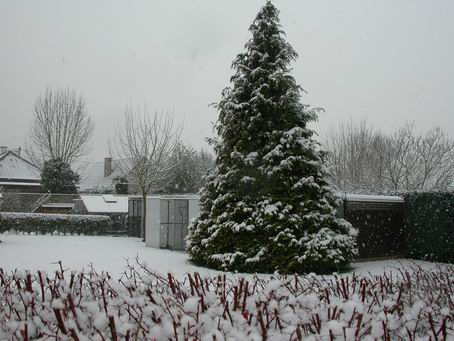 Resize of Img2005-02-24-09.32.57.JPG