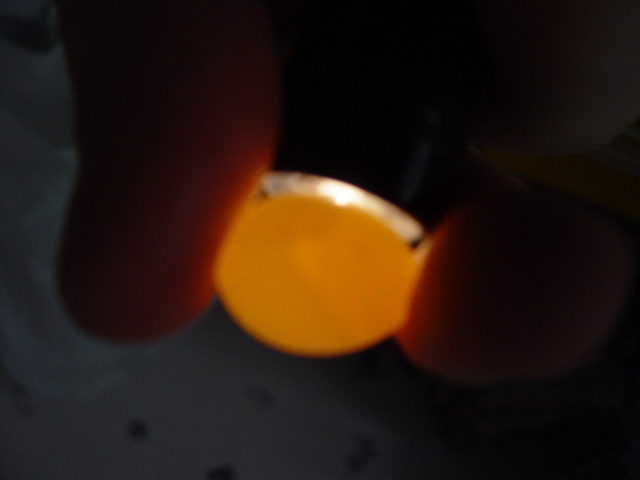 Paddas_2005_03_20 001.jpg