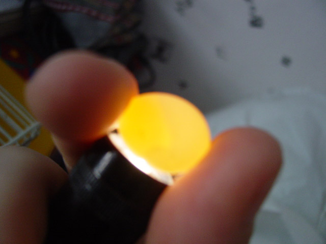 Paddas_2005_03_20 002.jpg