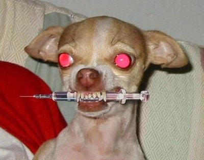 tu vas crever!!!!!.jpg