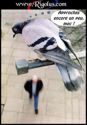 Cible en vue!!!   ready.......jpg