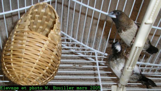 M du J 204 03 2005 2.JPG