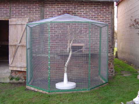 nouvelle voliere.jpg