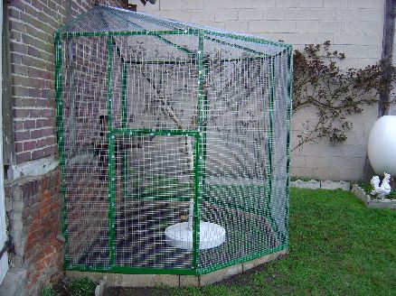 voliere sur le cotÃ©.jpg