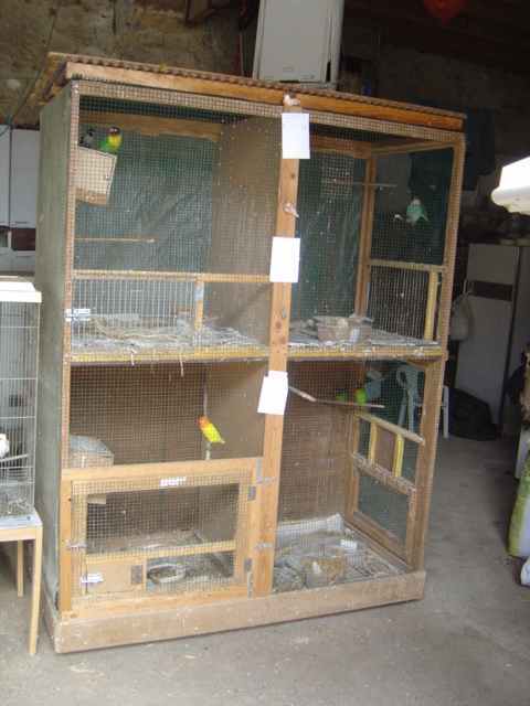 voliÃ¨re repro 2703.jpg