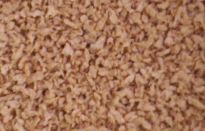 flocon de prot de soja gros planjpg.jpg