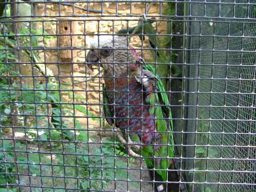 est qui me veut ce maillÃ© .jpg