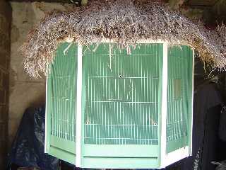 Cage mural 1 pret.jpg