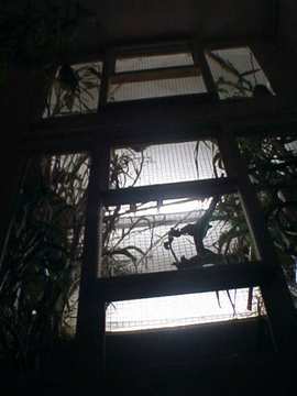 Voliere vert vue.jpg