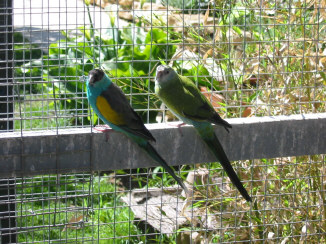 Pas difficile a trouver .JPG