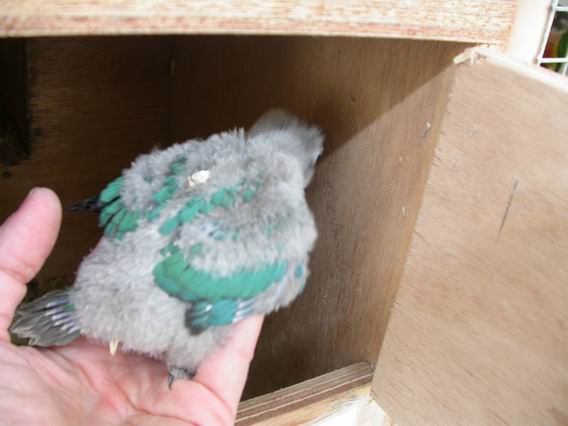 Resize of Img2005-05-25-08.48.27.JPG