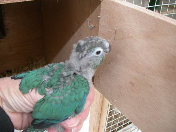 Resize of Img2005-05-25-08.48.09.JPG