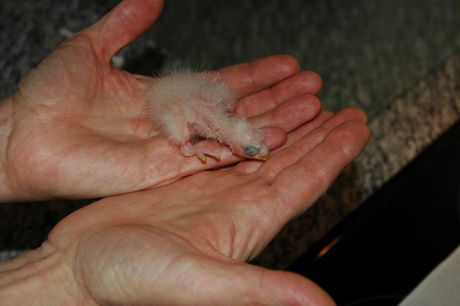 Resize of Img2005-06-04-18.41.08.JPG