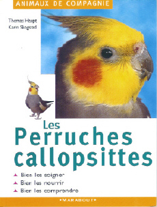 les perruches callopsittes2.jpg