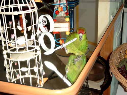 Je tiens ma cuillÃ¨re !1.JPG