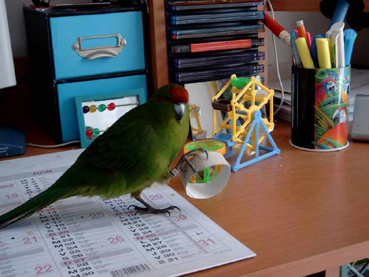 Quoi c'est une rondelle en carton ! 1.JPG