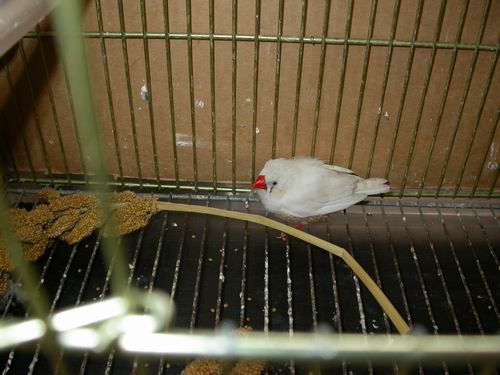 Resize of Img2005-06-11-18.27.33.JPG