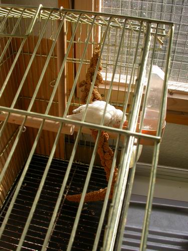 Resize of Img2005-06-12-08.10.43.JPG