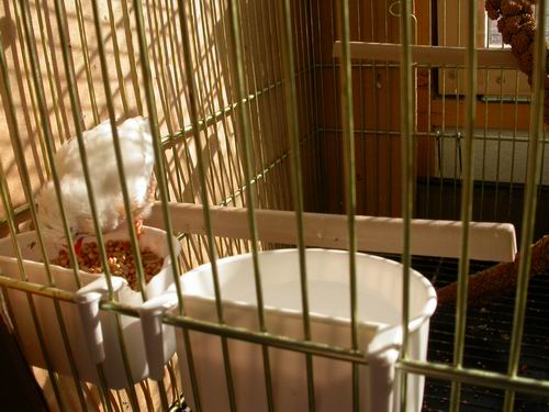 Resize of Img2005-06-12-08.10.02.JPG