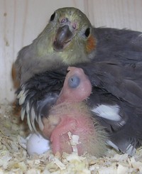 Naiss0620051 (6).jpg