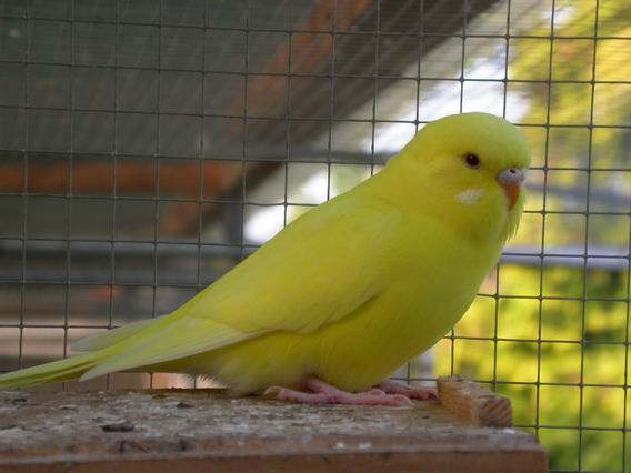 Resize of Img2005-05-28-19.38.29.JPG