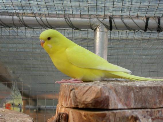 Resize of Img2005-05-28-19.37.25.JPG