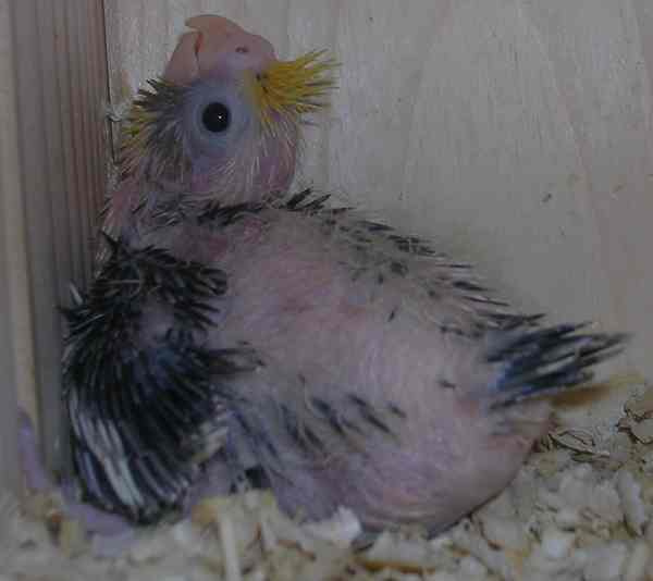 naiss0620051 (16).jpg