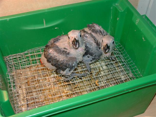 DSCF0012 (Small).JPG