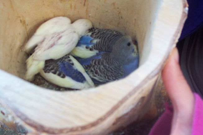 Resize of 11-07-20030138.jpg